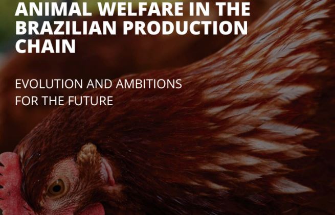 Brazil's COBEA report highlights animal welfare progress, challenges across the meat industry