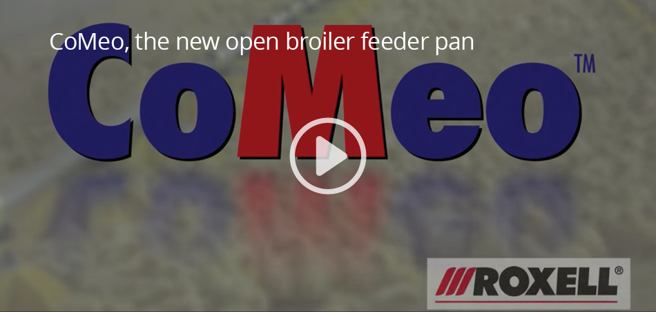 CoMeo, the new open broiler feeder pan CoMeo, the new open broiler feeder pan