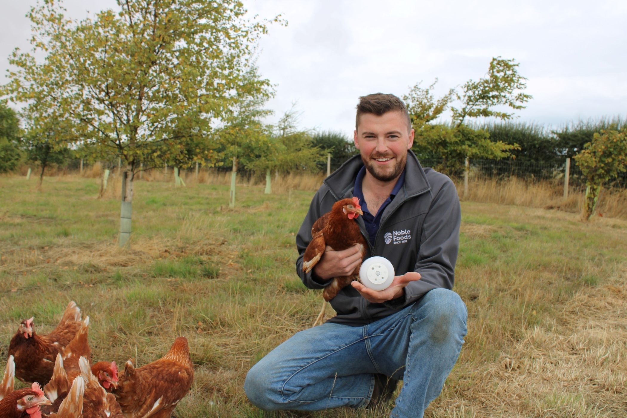 UK egg producer trials acoustic technology to monitor hen welfare