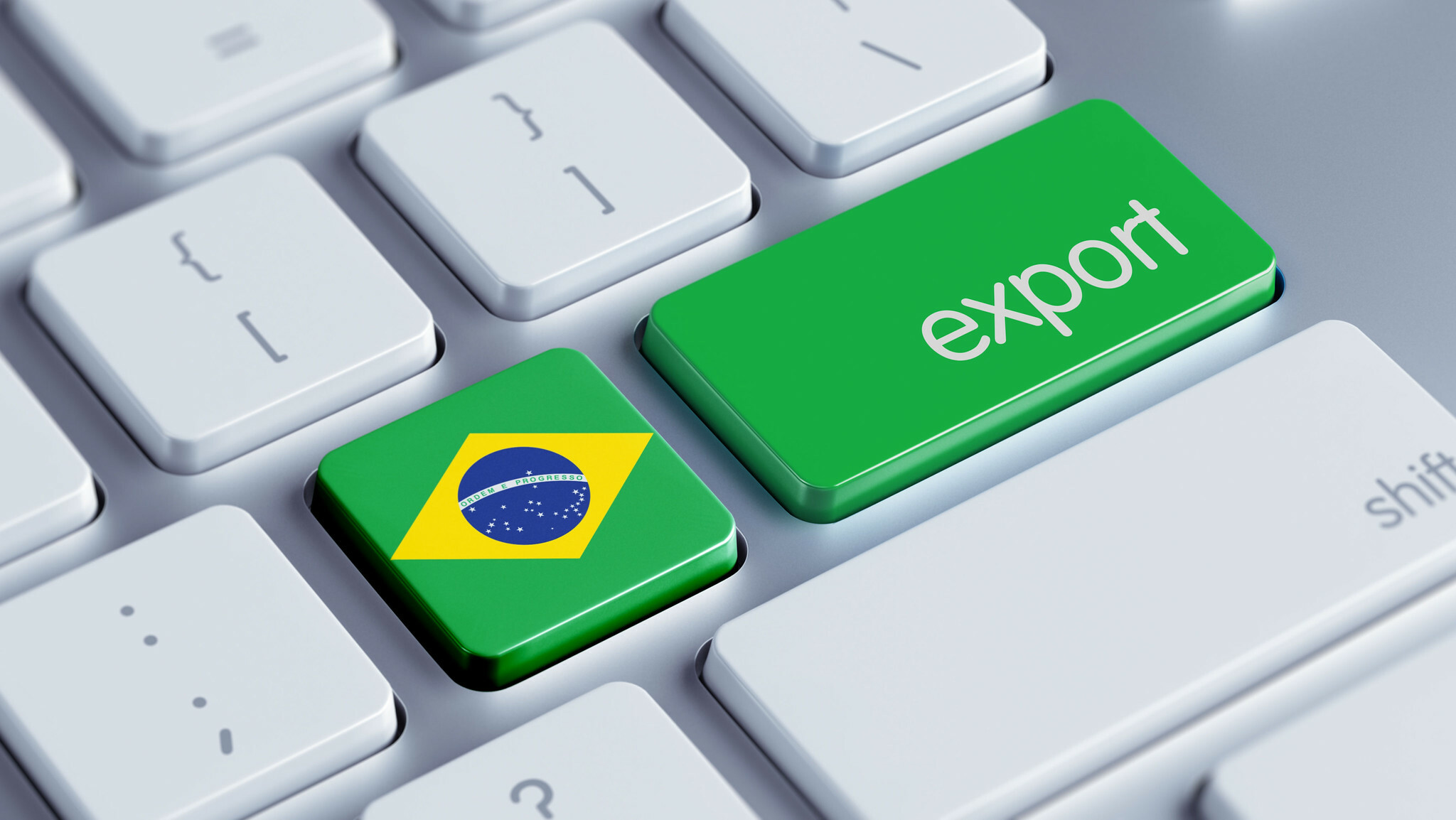 Brazilian pork exports rise 3.7% in July - ABPA