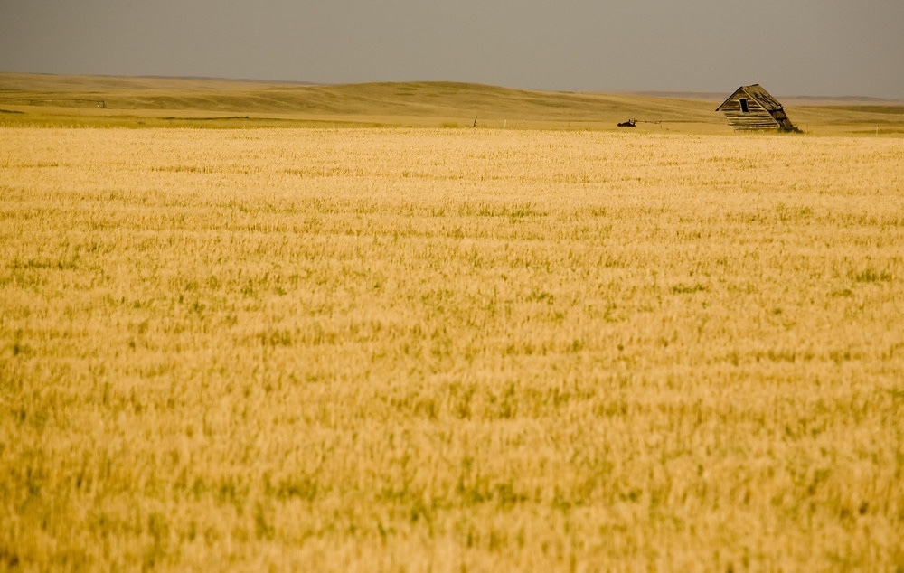 Canadian farmland values rise 9.3% in 2025: FCC