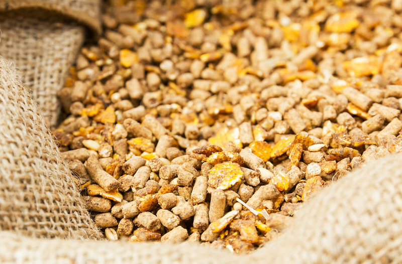 USDA research links degraded fats in feed to growth losses
