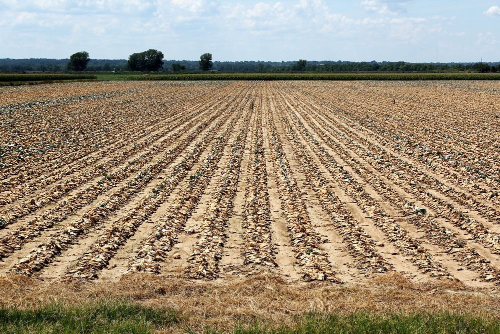 France unveils €1 billion aid package for drought-hit farmers