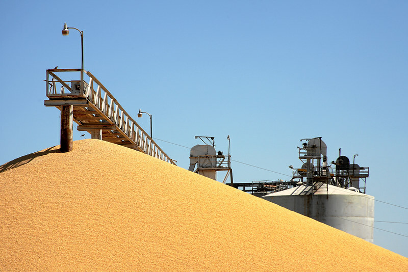 Polish government pledges grain surplus cut