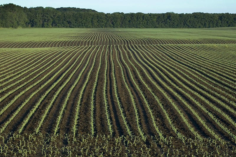 EU farm gate prices down in Q4 2025 - Eurostat