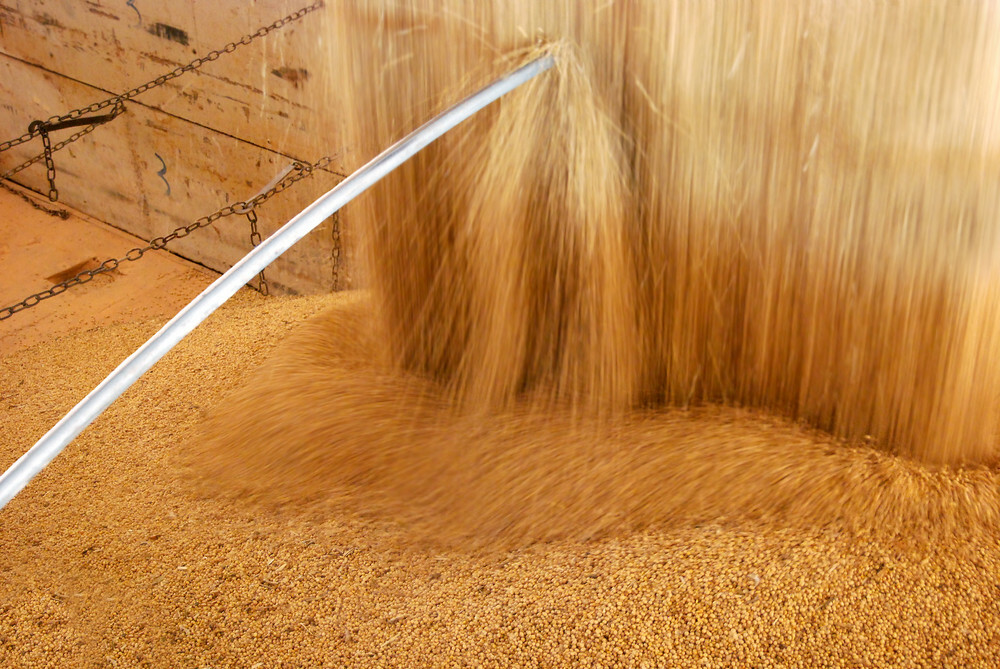China's soybean imports rise in August on Brazil supply
