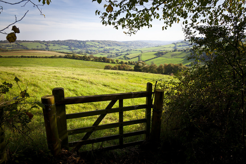 EU nature law on knife-edge after losing first vote