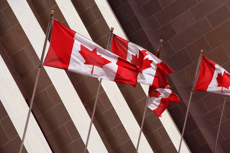 Infectious bronchitis DMV/1639 continues to affect Canadian poultry