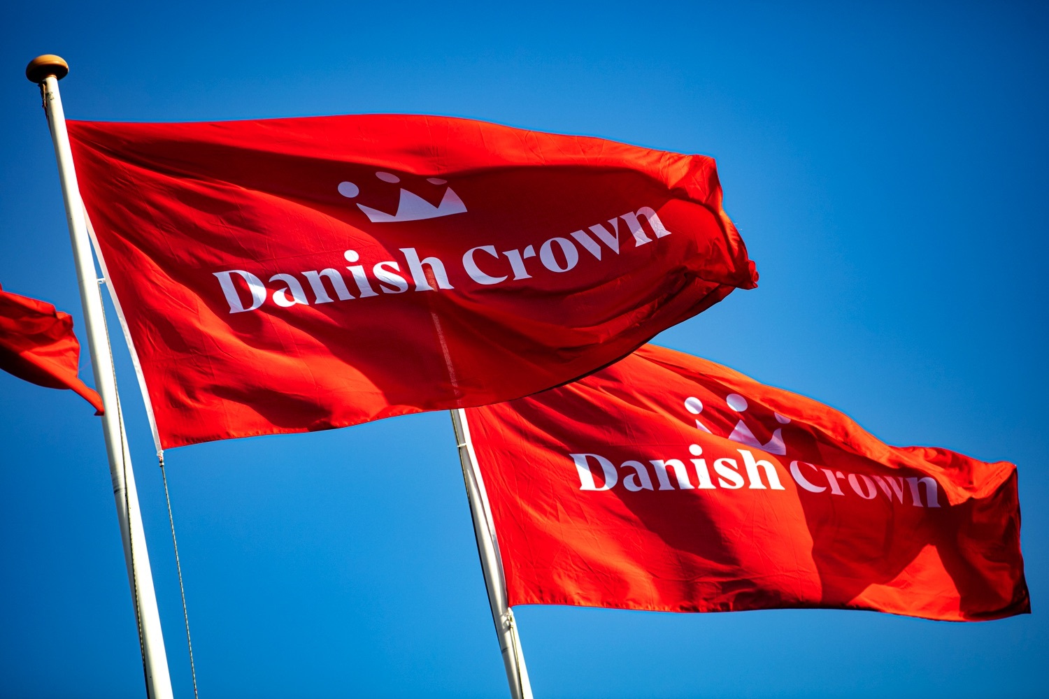 Danish Crown to cut 800 jobs in restructuring push