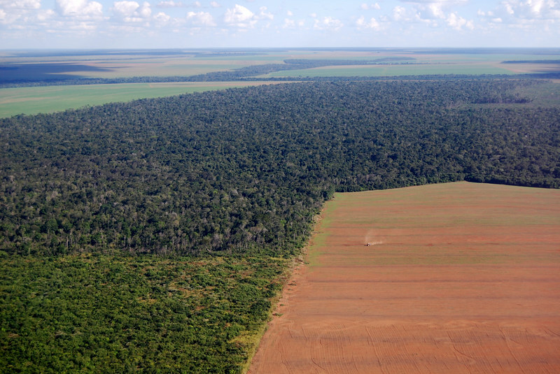 Brazil court ruling opens door to Amazon deforestation for soy