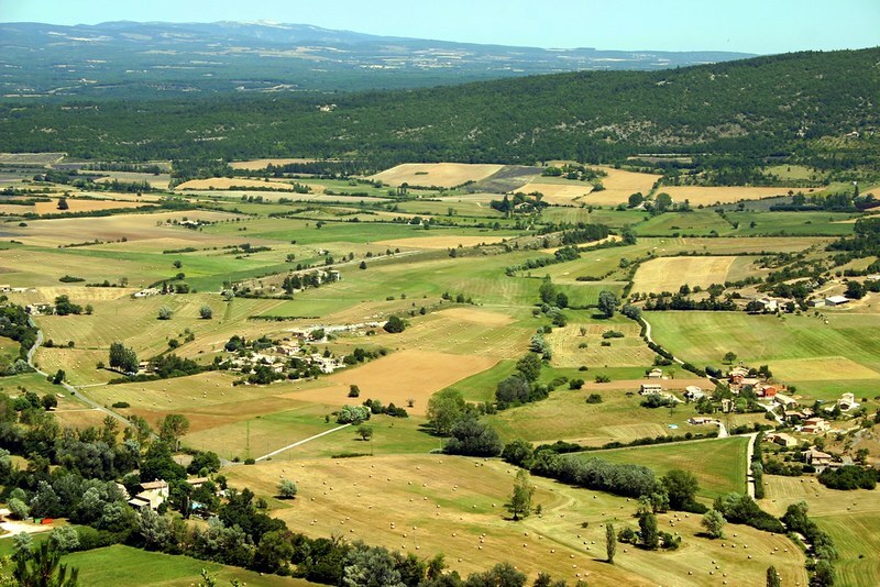 France battles rising lumpy skin disease in cattle