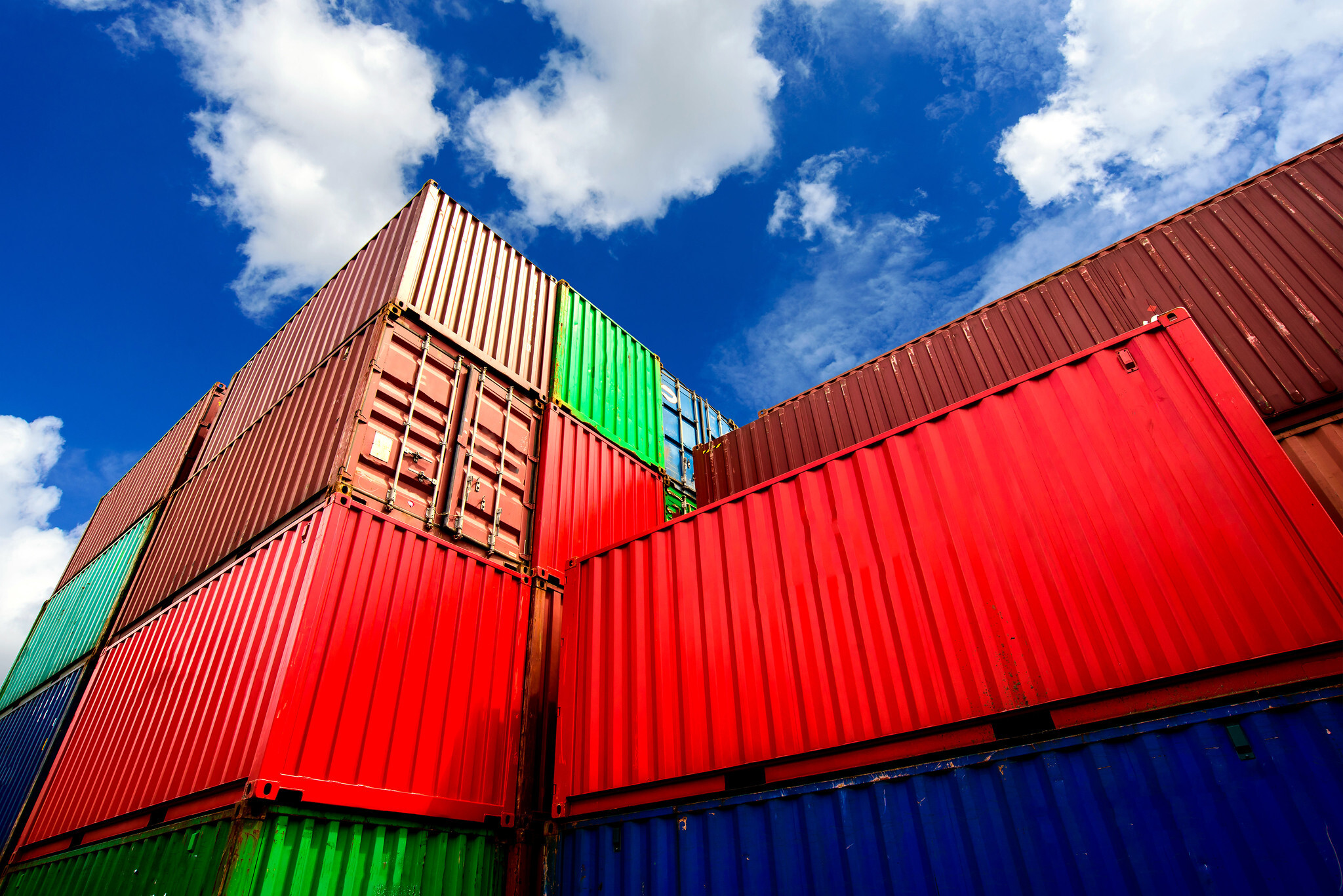 Cattle futures rise on Mexico import curbs, tight US supply - CME