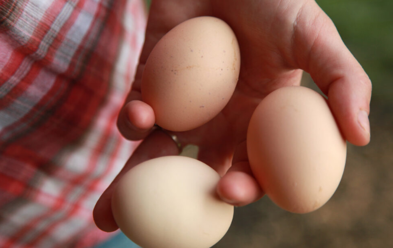U.S. Soy: The consistency factor for layers