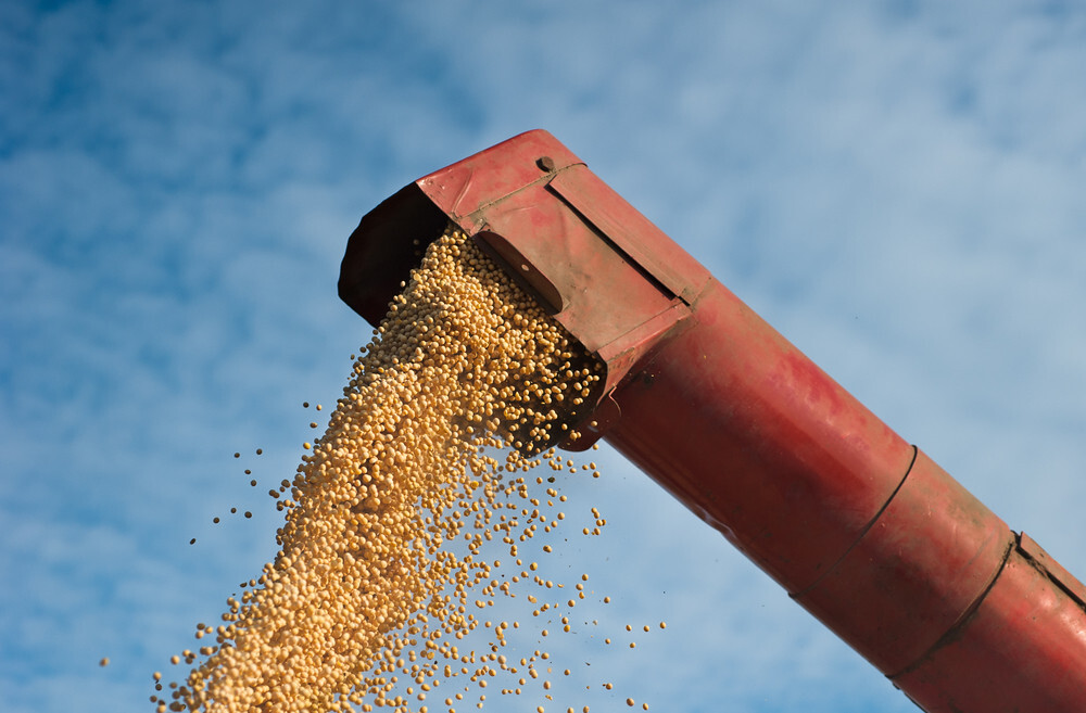 EU flags banned GMOs in Argentine, Brazilian soymeal