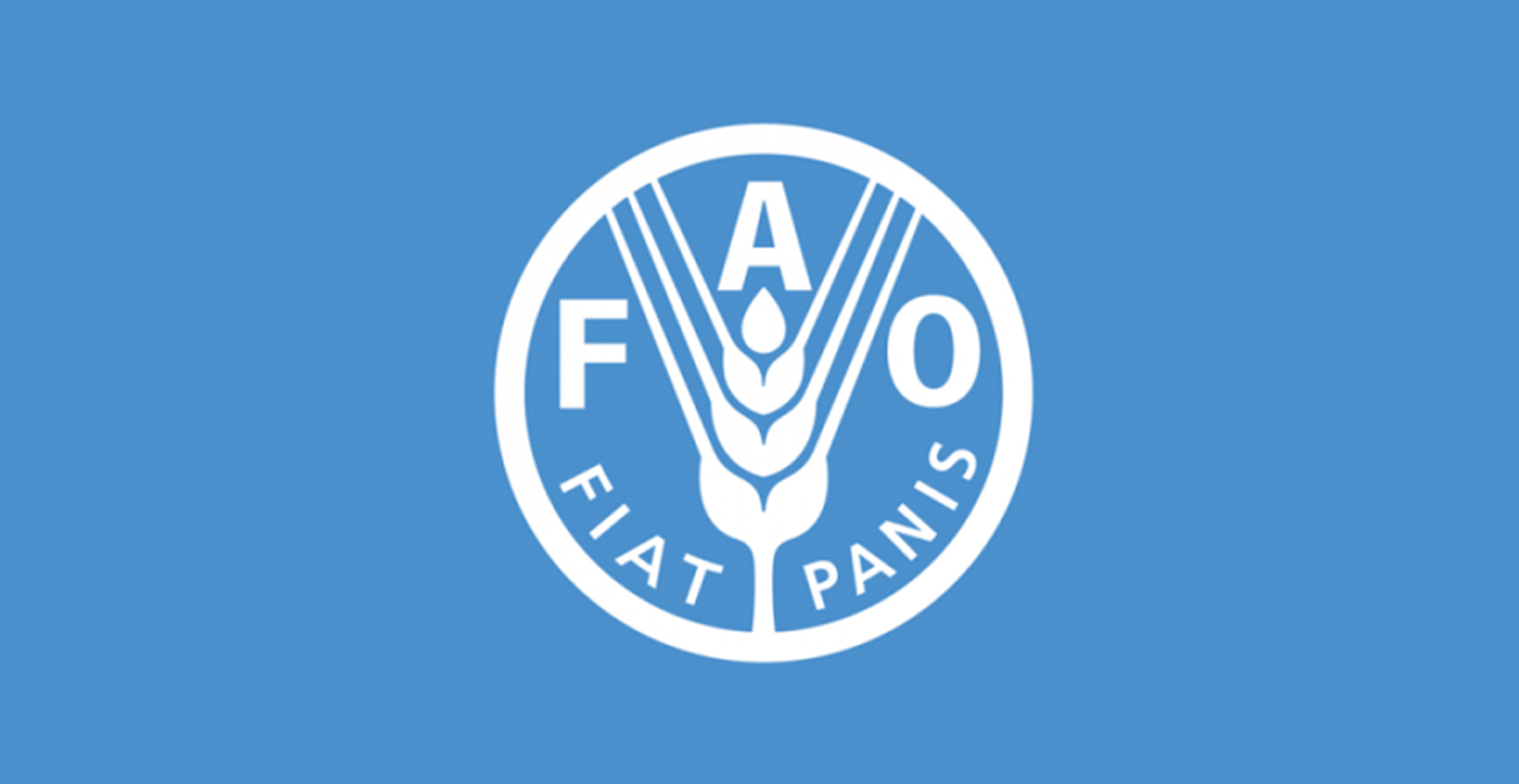 World food prices stable in May as vegetable oil drop offsets gains - FAO