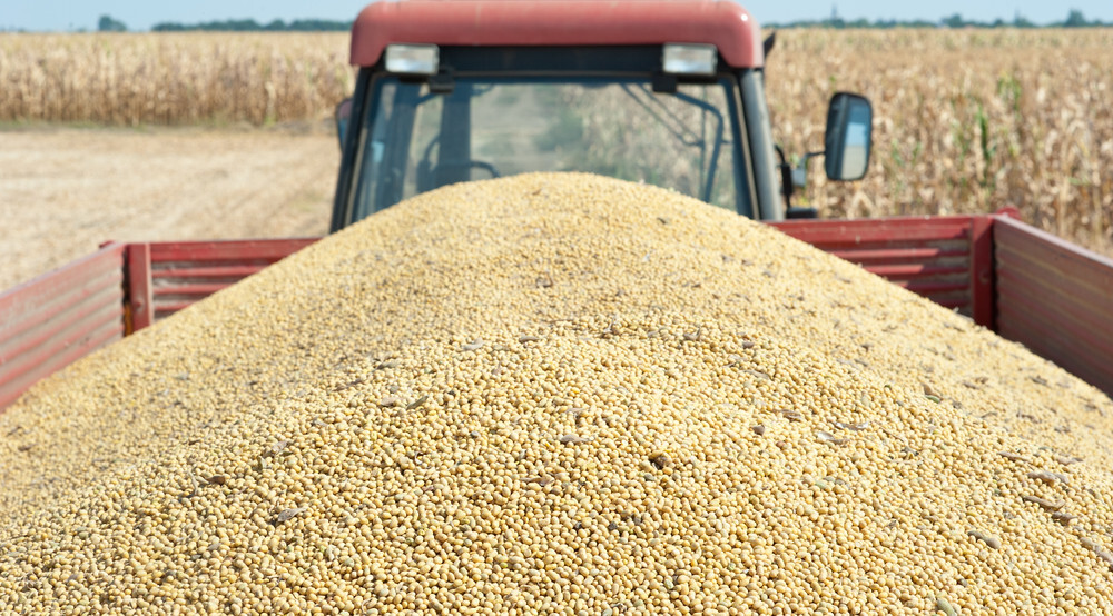 Brazil sets soy output record at 179m tons