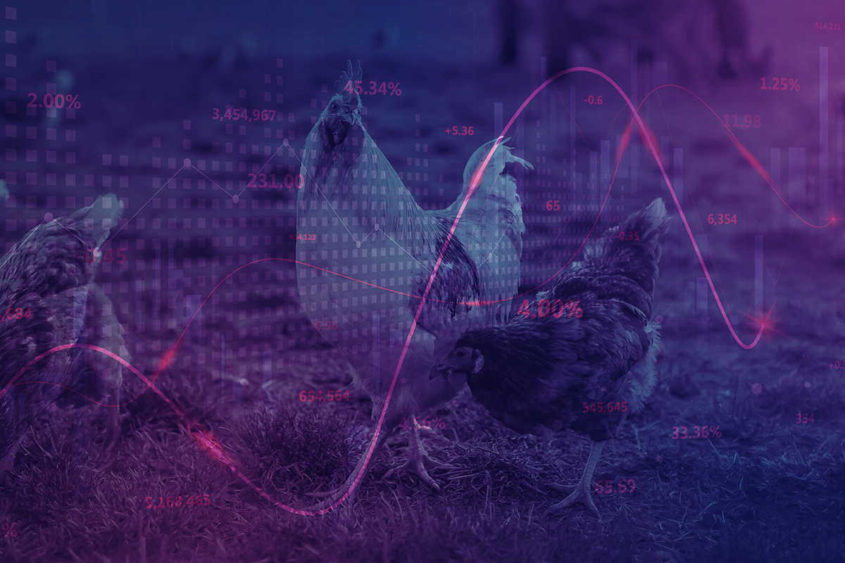 Weekly protein digest: USDA pushes poultry grower pay rule to 2027