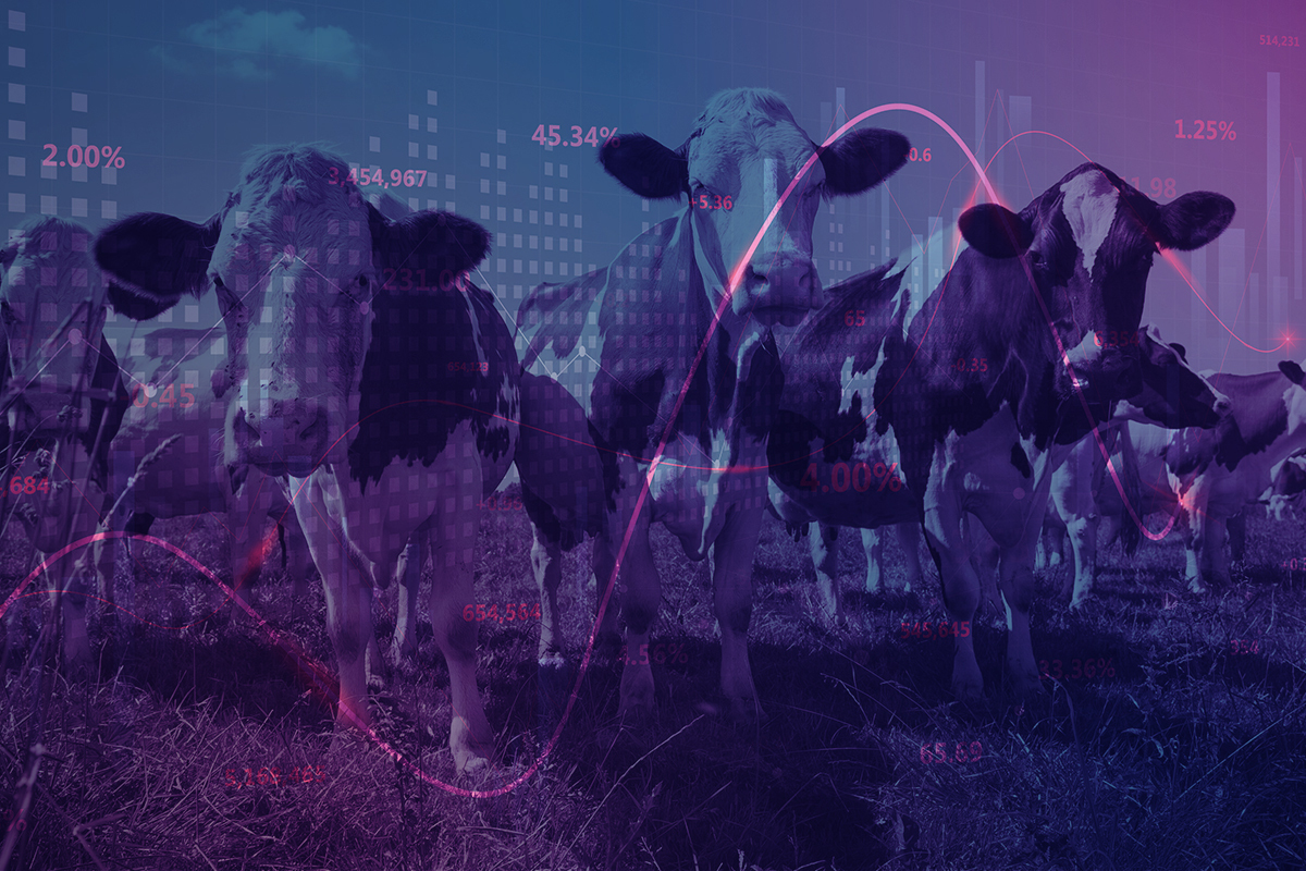 Weekly global protein digest: Good week for cattle futures bulls, NWS threat delays US border reopening