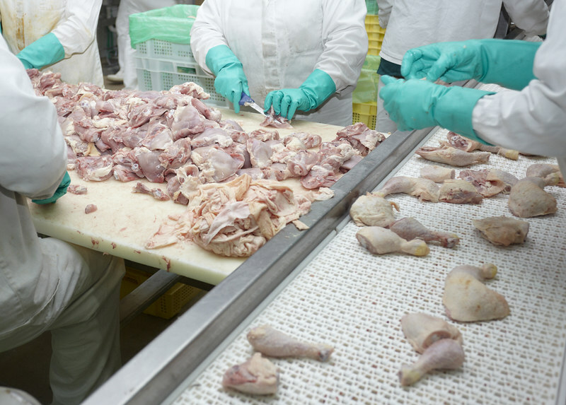 Brazil sets April chicken export record at 486,500 tonnes