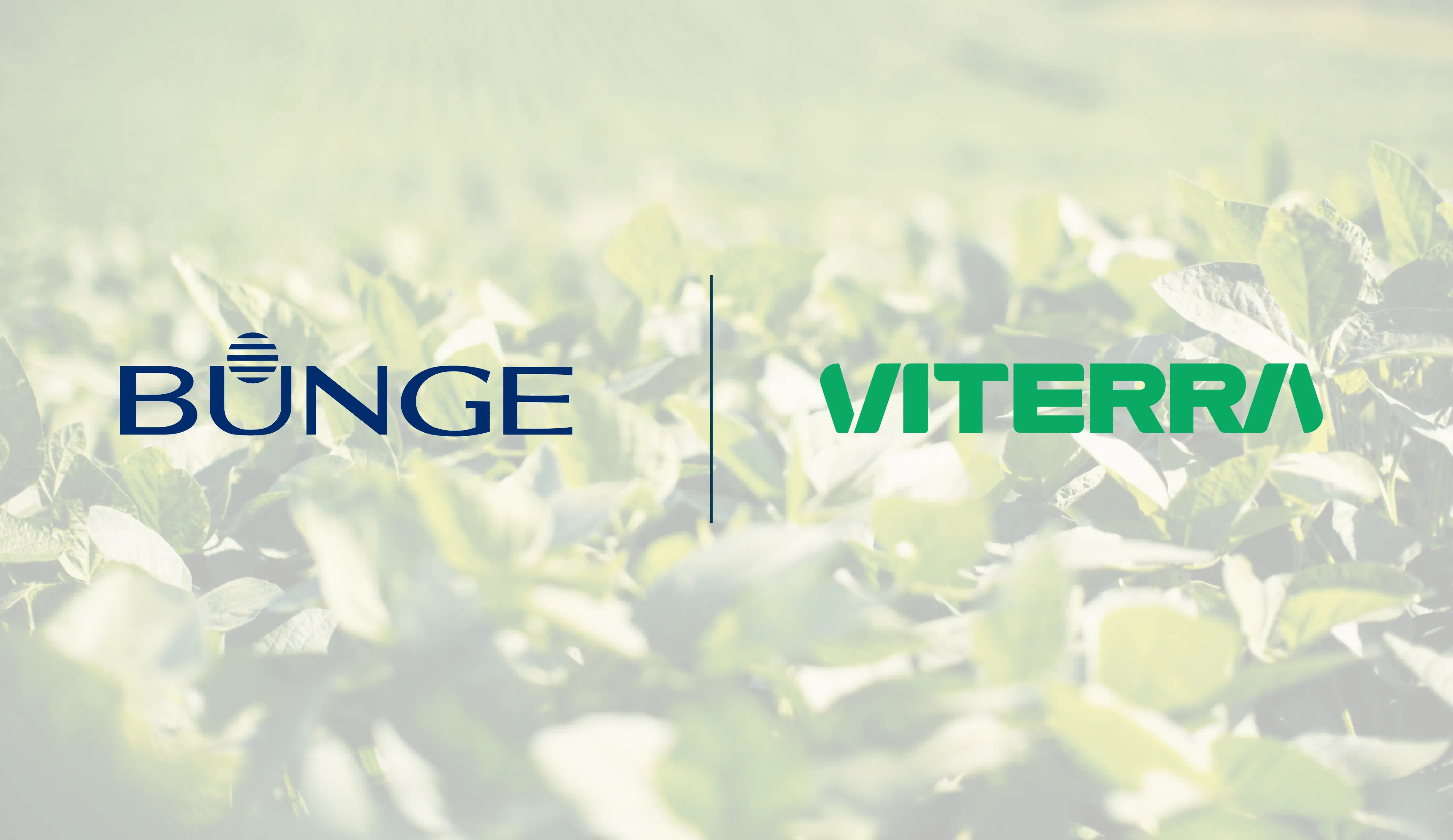 Bunge's Viterra takeover will reduce competition, Canadian farmers warn |  The Pig Site