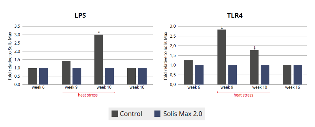 Figure 4 & 5