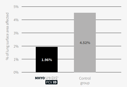Figure 1. Percentage of lung surface area affected by M. hyo-like lesions.  *Different letters indicate statistically significant differences, p <0.05,  Welch’s test.