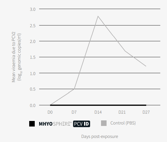 Figure 2. Viraemia due to PCV2 (qPCR). The area under the curve (AUC)  was lower in the vaccinated group (p <0.05, Mann–Whitney U test).