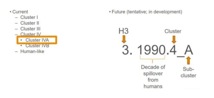 Figure 5. Nomenclature for H3