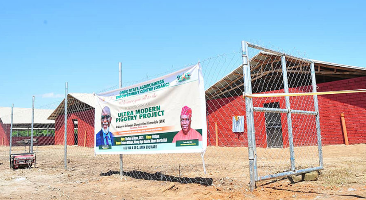 The village of Ilutoro has a new and ultra-modern piggery.