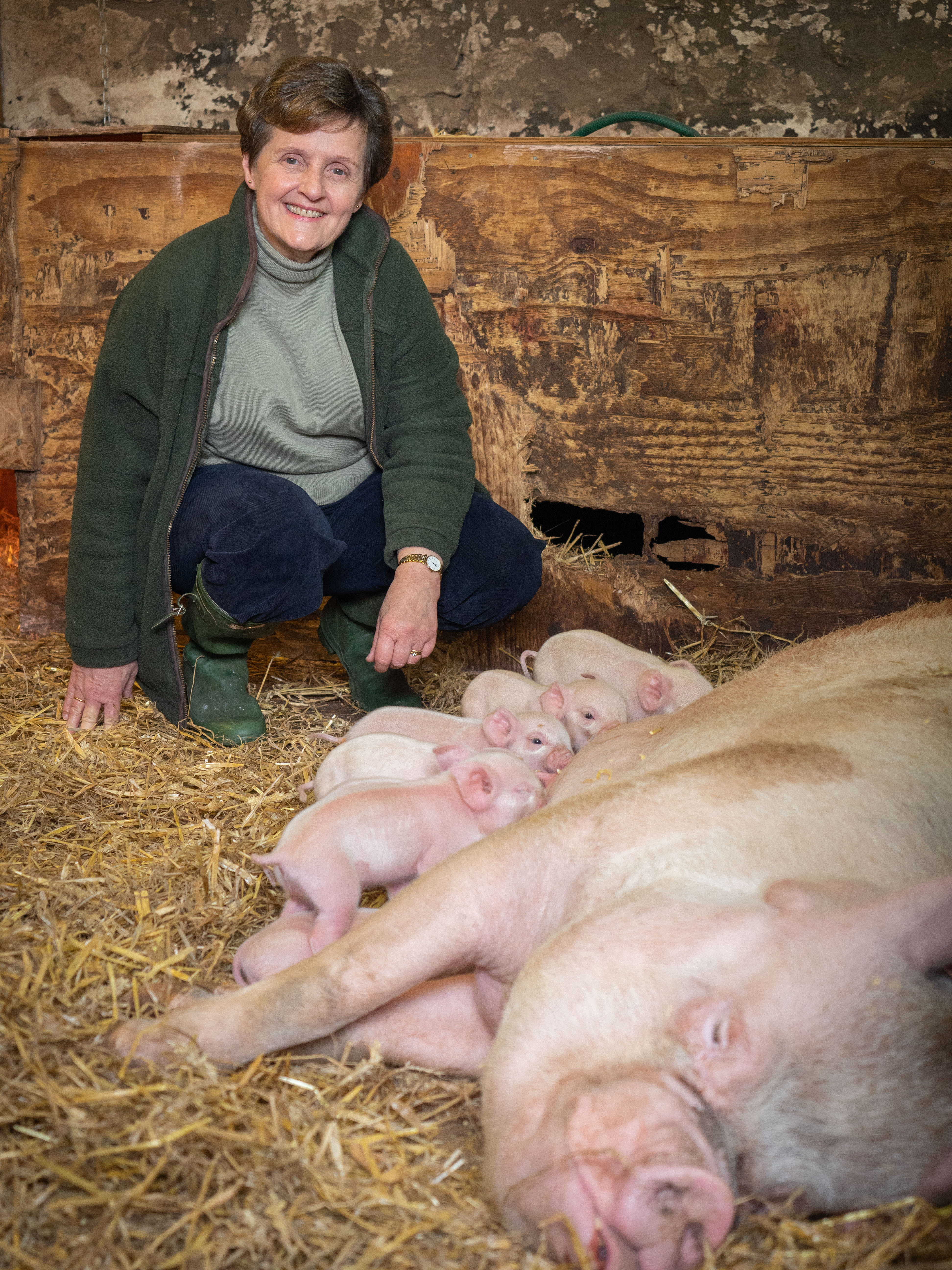 MEP Anthea McIntyre is calling for authorities to do more to control the population of wild boar
