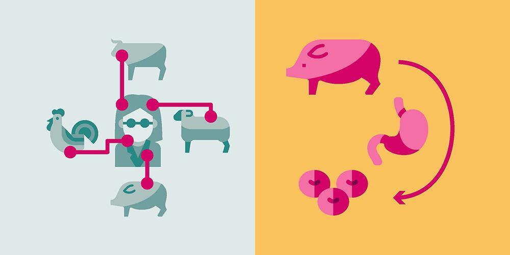 Research Focus: New research platforms help understand disease