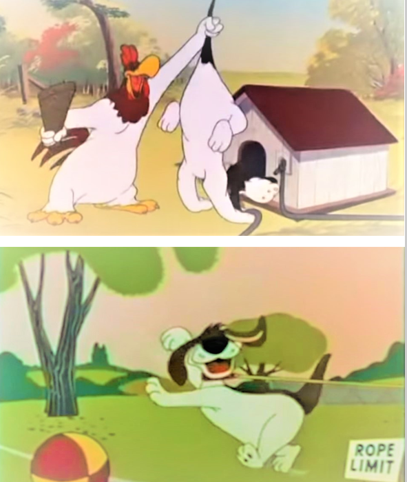 1 Foghorn Leghorn is a cartoon character that appears in Looney Tunes and Merrie Melodies cartoons and films from Warner Bros. The character starred in 29 cartoons from 1946 to 1964 (Golden Age of American Animation); 2 Looney Tunes is an American series of animated comedy short films produced by Warner Bros. from 1930 to 1969.