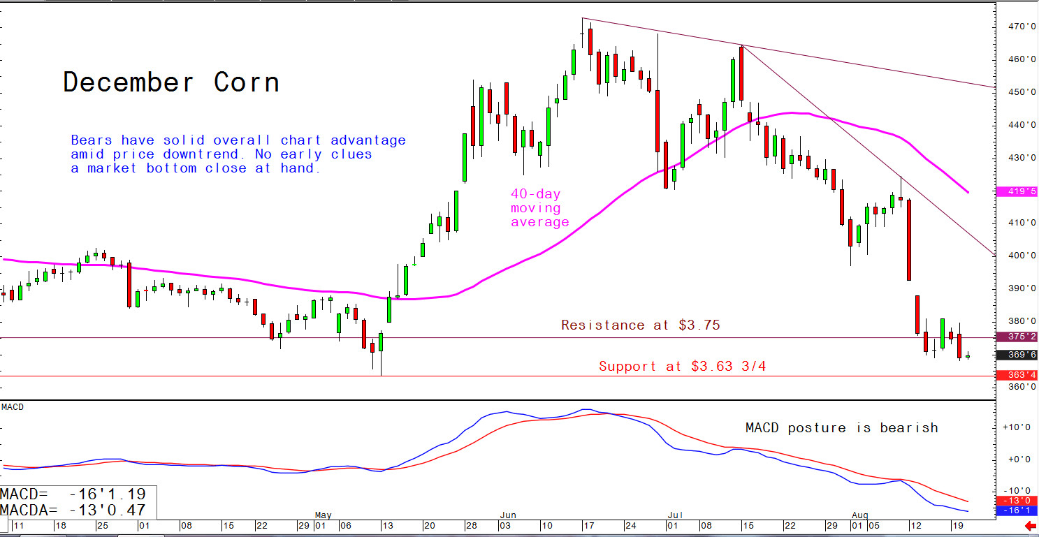 Bears have solid overall chart advantage amid price downtrend. No early clues a market bottom close at hand