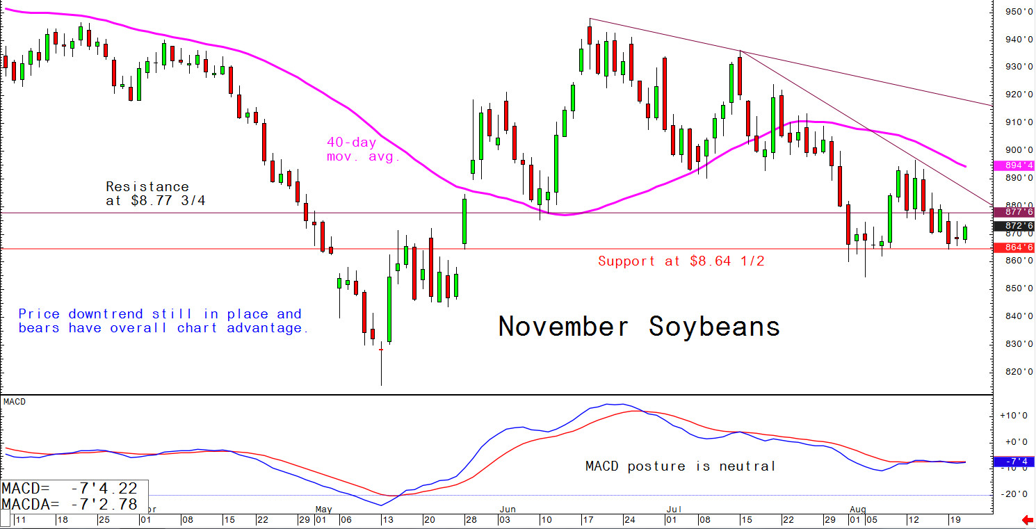 Price downtrend still in place and bears have overall chart advantage