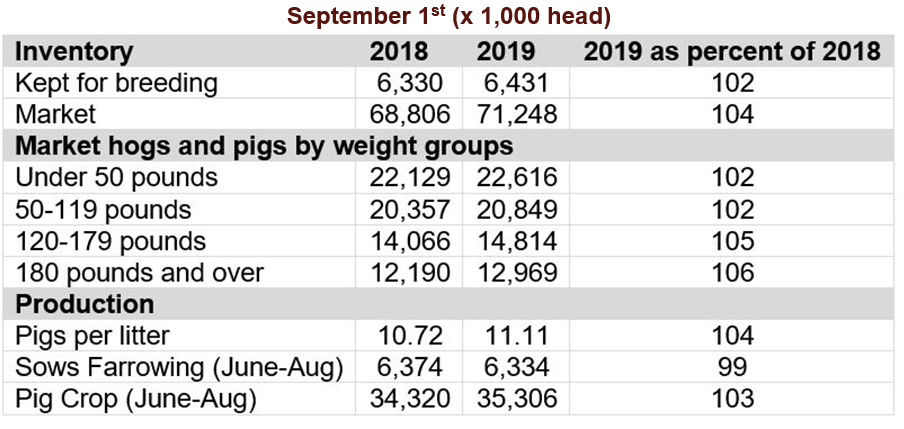1 September (x 1,000 head)