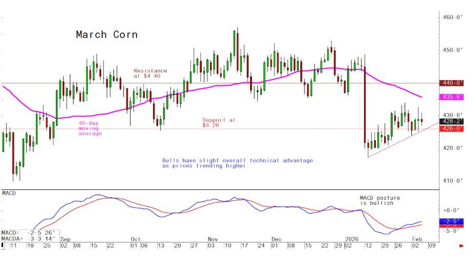 Weekly pig outlook: Lean hog futures still trending up, but bulls tire ...