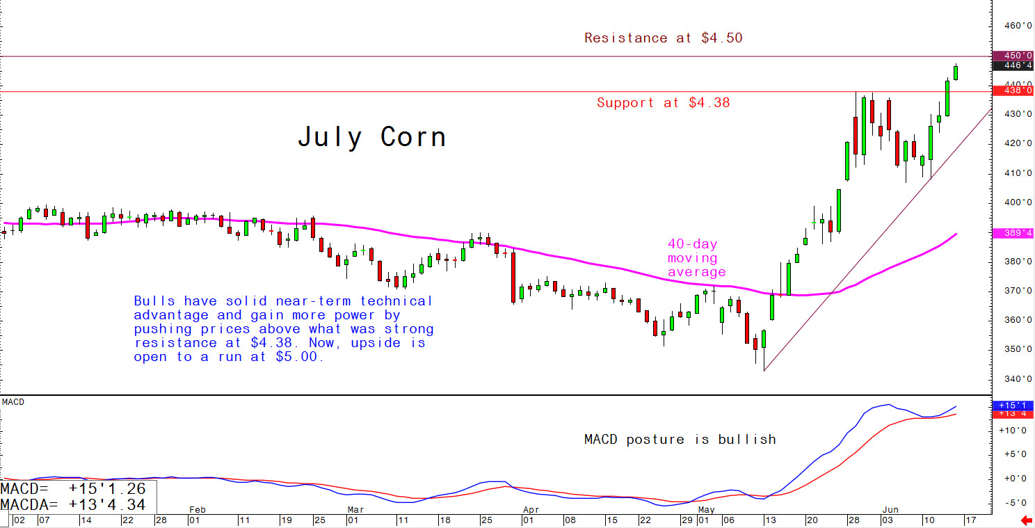 July corn