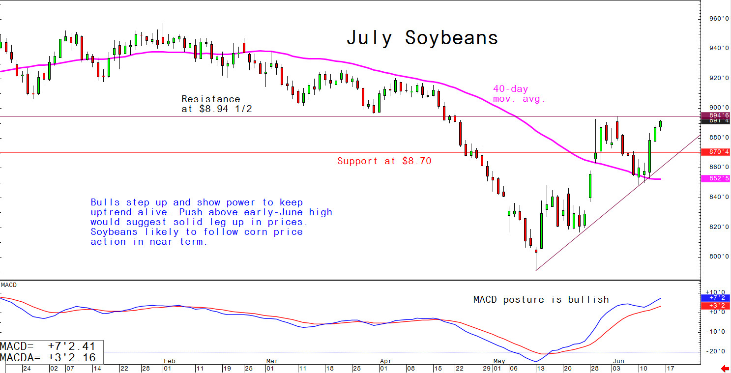 July soybeans