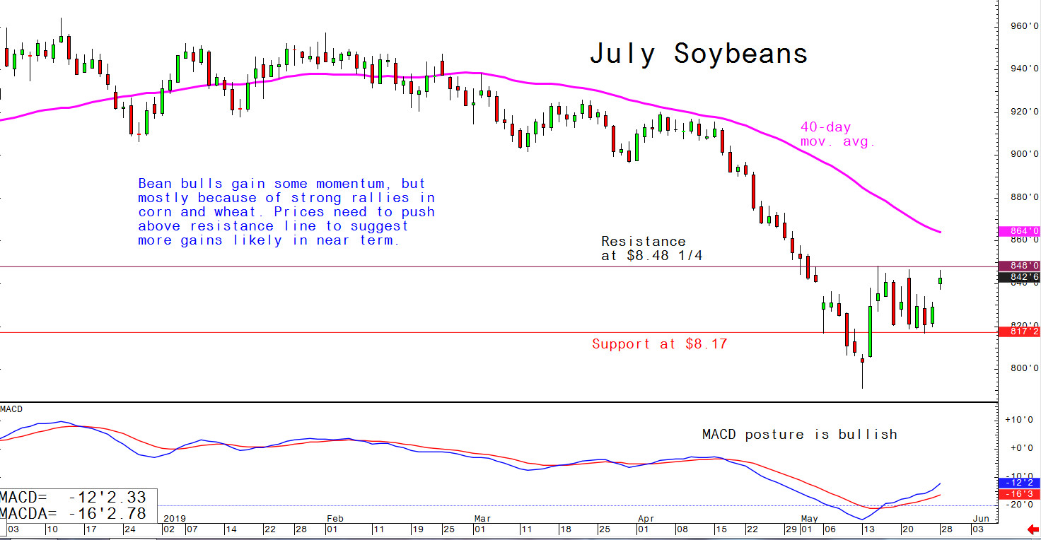July soybeans