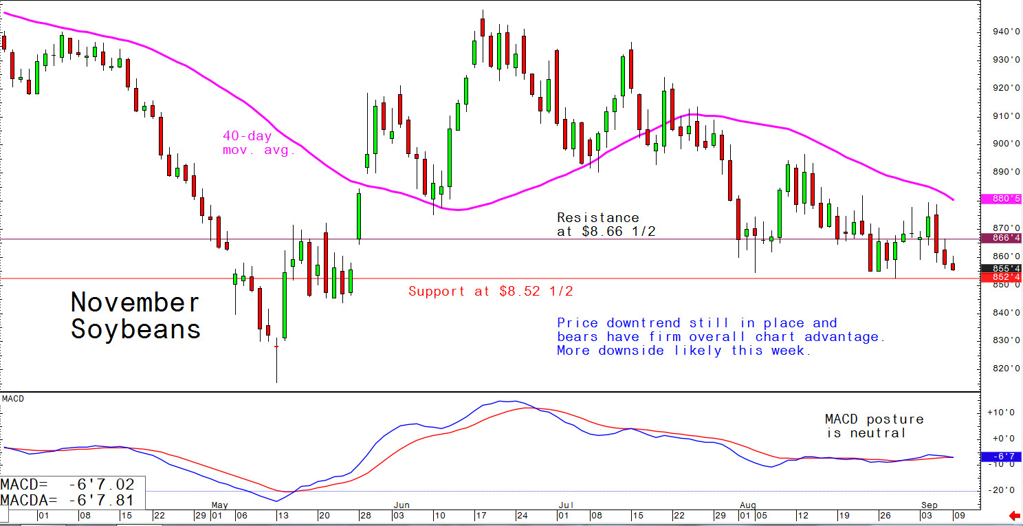 Price downtrend still in place and bears have firm overall chart advantage. More downside likely this week