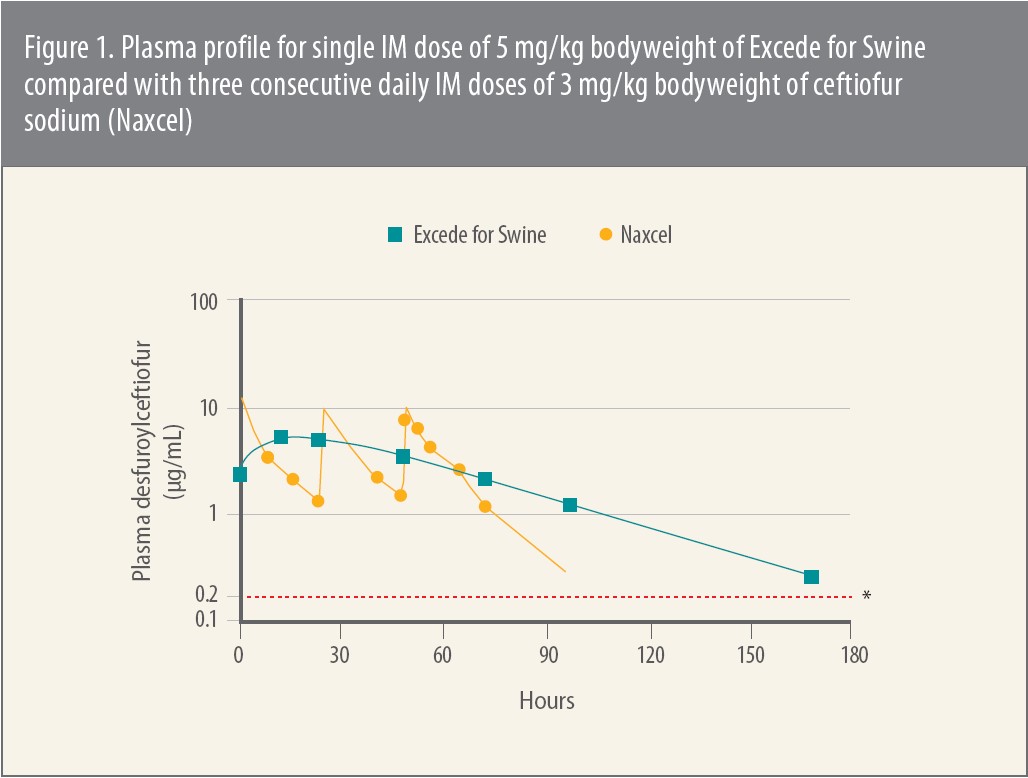 Note: 0.2 ug/mL is the concentration that is above MICs for nearly 100% of target respiratory pathogens isolated and tested over the years.