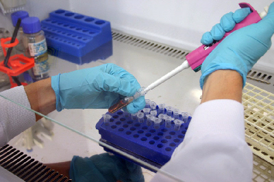 PCR Test by Thermo FIsher Scientific