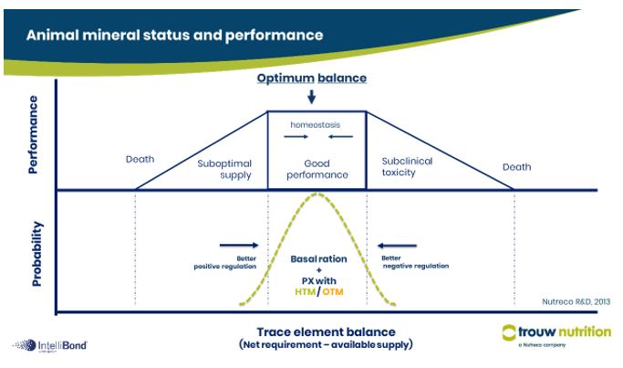 Livestock face challenges when non-optimum amounts of trace minerals are provided. The inclusion of trace mineral sources via premix in the feed improves the amount of trace metal delivered. Although, for an optimal prediction of the trace metal delivered to the animal, more bioavailable sources of trace minerals such as Hydroxichlorides (HTM) and organics (OTM) might be required.