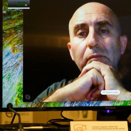 Joaquim Segalés, DVM, PhD