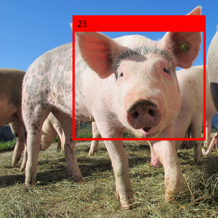 facial recognition machine learning AI pigs