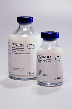 PORCILIS AR-T