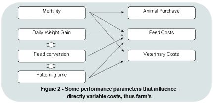 Biomin - Feed additives, premixes and services for healthy and profitable farm animals