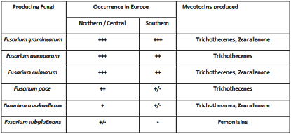 Biomin - Feed additives, premixes and services for healthy and profitable farm animals