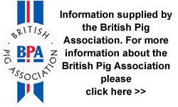 British Pig Association