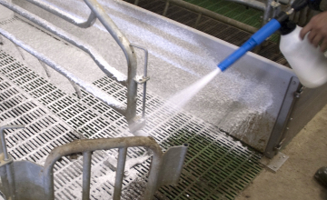 CID Lines - Catalogue